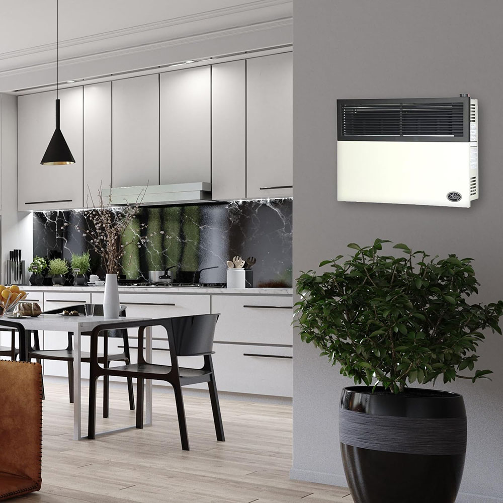 Ashley Hearth Products 17,000 BTU Direct Vent Liquid Propane Wall Mounted Heater with Piezo Lightning, Safety Pilot and Built in Regulator